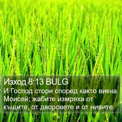 Изход 8:13 BULG Bible Verse Image