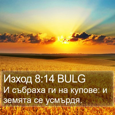 Изход 8:14 BULG Bible Verse Image