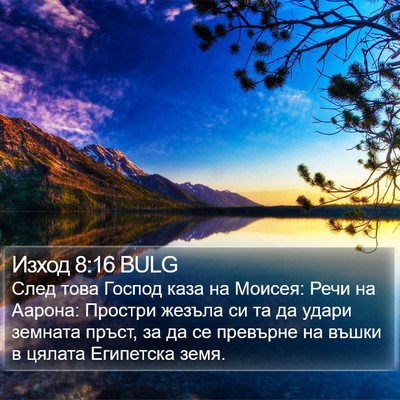 Изход 8:16 BULG Bible Verse Image