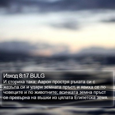 Изход 8:17 BULG Bible Verse Image