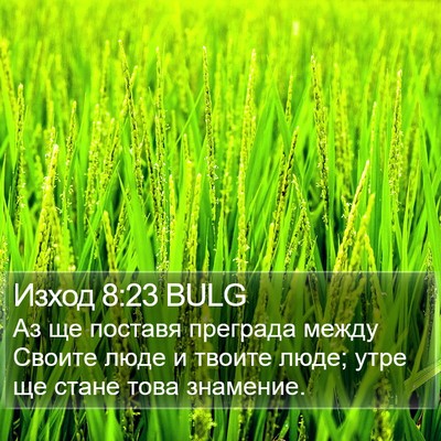 Изход 8:23 BULG Bible Verse Image