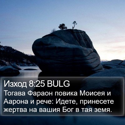 Изход 8:25 BULG Bible Verse Image
