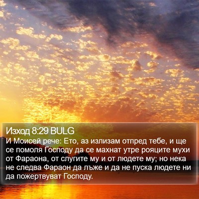 Изход 8:29 BULG Bible Verse Image