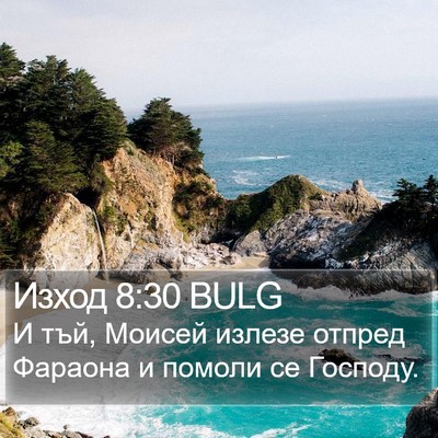 Изход 8:30 BULG Bible Verse Image