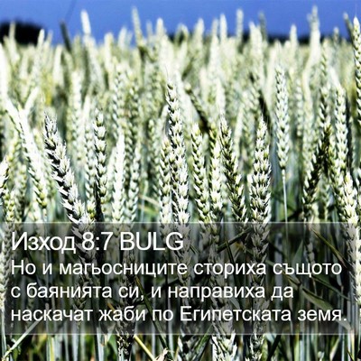Изход 8:7 BULG Bible Verse Image