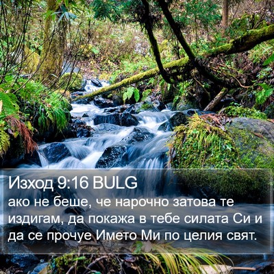Изход 9:16 BULG Bible Verse Image