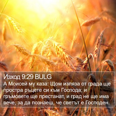 Изход 9:29 BULG Bible Verse Image