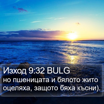 Изход 9:32 BULG Bible Verse Image