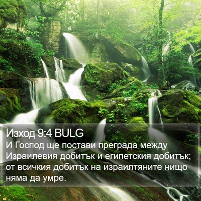 Изход 9:4 BULG Bible Verse Image