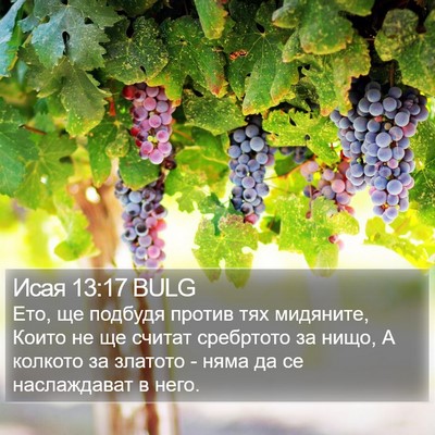 Исая 13:17 BULG Bible Verse Image