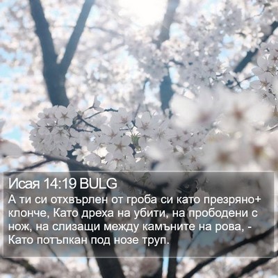 Исая 14:19 BULG Bible Verse Image