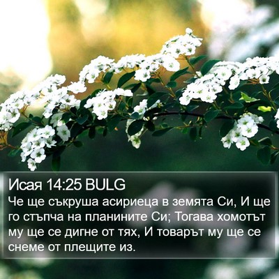 Исая 14:25 BULG Bible Verse Image