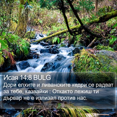 Исая 14:8 BULG Bible Verse Image