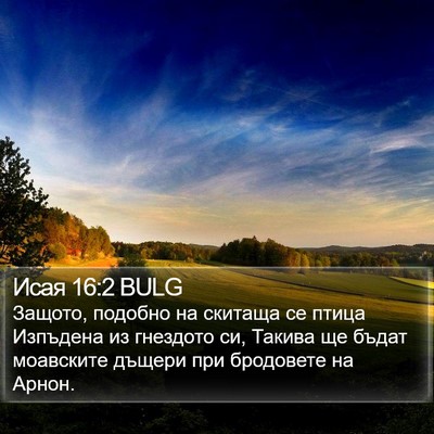 Исая 16:2 BULG Bible Verse Image