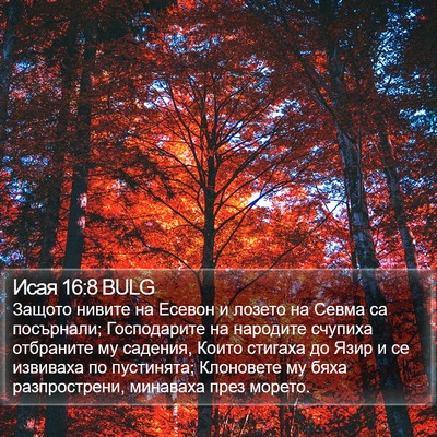 Исая 16:8 BULG Bible Verse Image