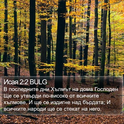 Исая 2:2 BULG Bible Verse Image