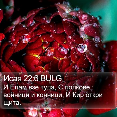 Исая 22:6 BULG Bible Verse Image