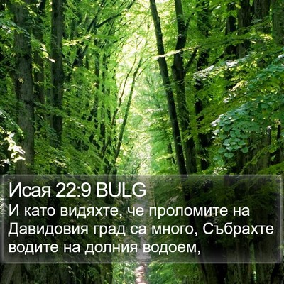 Исая 22:9 BULG Bible Verse Image