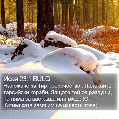 Исая 23:1 BULG Bible Verse Image