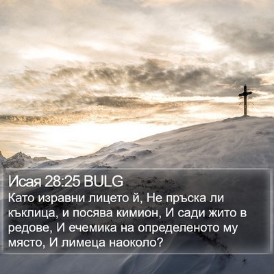 Исая 28:25 BULG Bible Verse Image