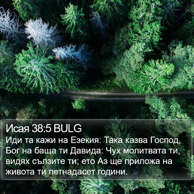 Исая 38:5 BULG Bible Verse Image