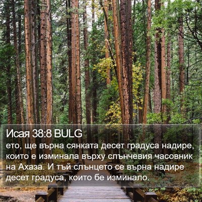 Исая 38:8 BULG Bible Verse Image