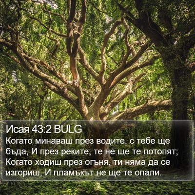 Исая 43:2 BULG Bible Verse Image