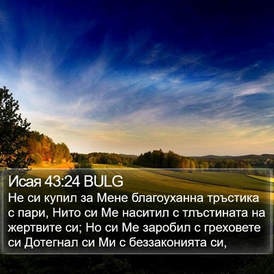 Исая 43:24 BULG Bible Verse Image