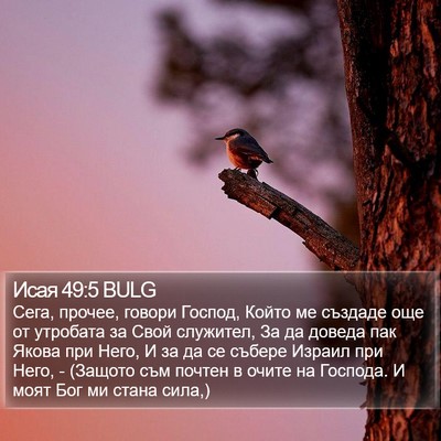 Исая 49:5 BULG Bible Verse Image