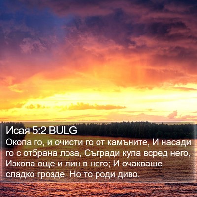 Исая 5:2 BULG Bible Verse Image