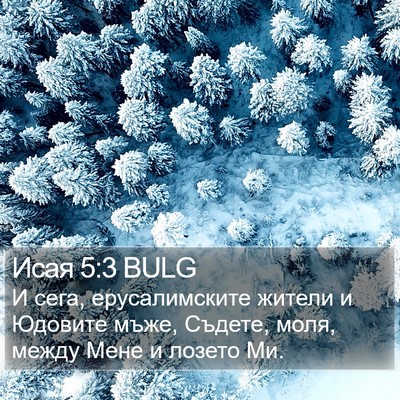 Исая 5:3 BULG Bible Verse Image