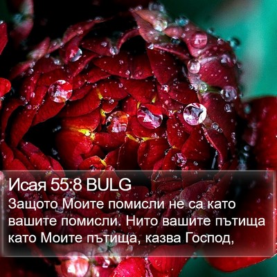 Исая 55:8 BULG Bible Verse Image