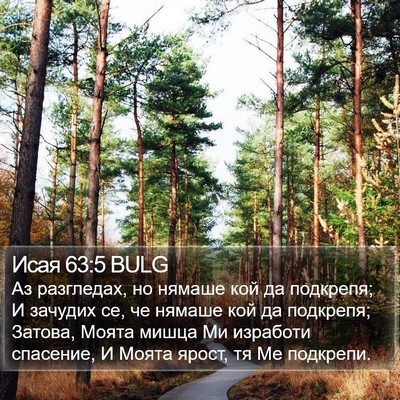 Исая 63:5 BULG Bible Verse Image