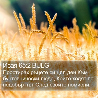 Исая 65:2 BULG Bible Verse Image