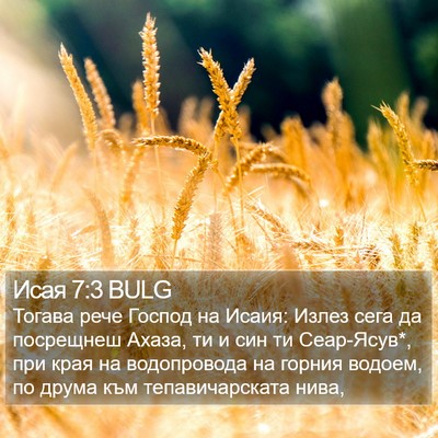 Исая 7:3 BULG Bible Verse Image