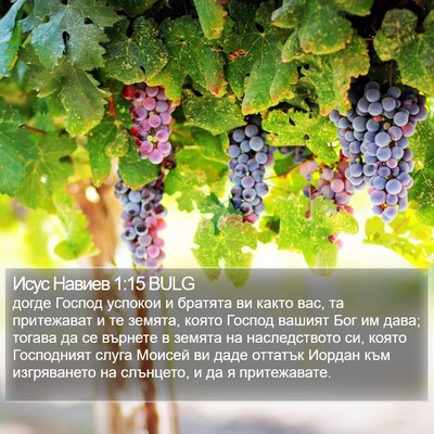 Исус Навиев 1:15 BULG Bible Verse Image