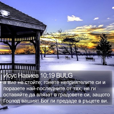 Исус Навиев 10:19 BULG Bible Verse Image