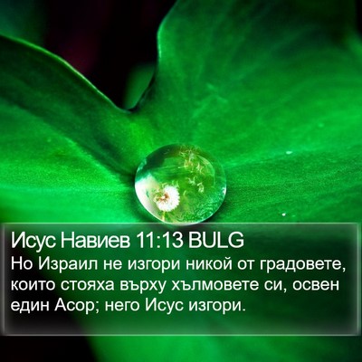 Исус Навиев 11:13 BULG Bible Verse Image