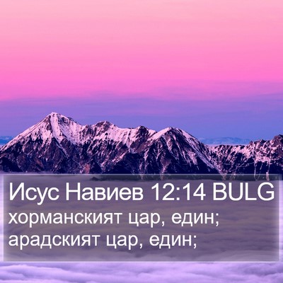 Исус Навиев 12:14 BULG Bible Verse Image