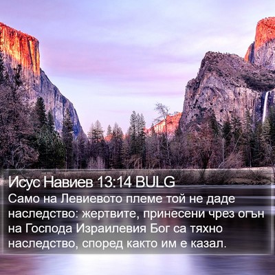 Исус Навиев 13:14 BULG Bible Verse Image