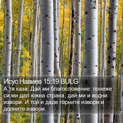 Исус Навиев 15:19 BULG Bible Verse Image
