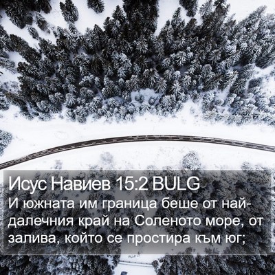 Исус Навиев 15:2 BULG Bible Verse Image