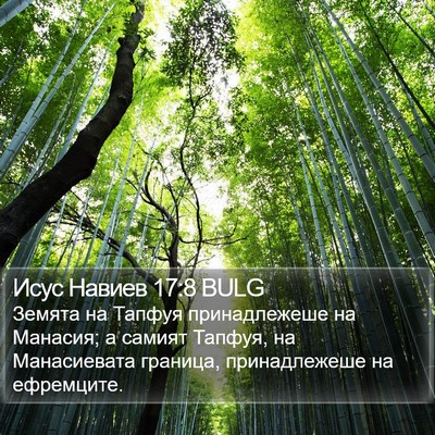 Исус Навиев 17:8 BULG Bible Verse Image