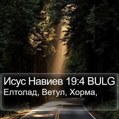Исус Навиев 19:4 BULG Bible Verse Image
