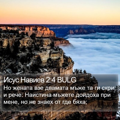 Исус Навиев 2:4 BULG Bible Verse Image