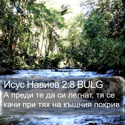 Исус Навиев 2:8 BULG Bible Verse Image
