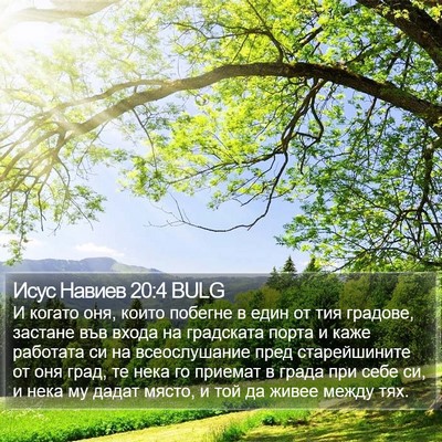 Исус Навиев 20:4 BULG Bible Verse Image