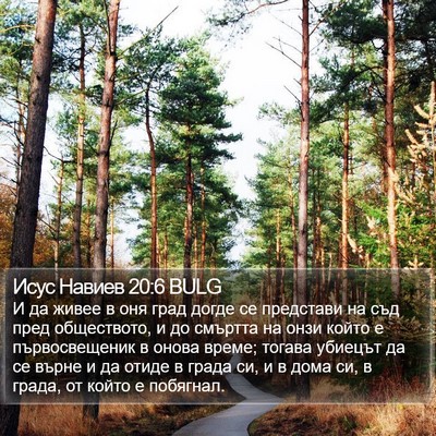 Исус Навиев 20:6 BULG Bible Verse Image