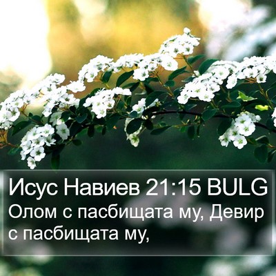 Исус Навиев 21:15 BULG Bible Verse Image