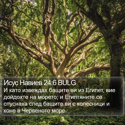 Исус Навиев 24:6 BULG Bible Verse Image